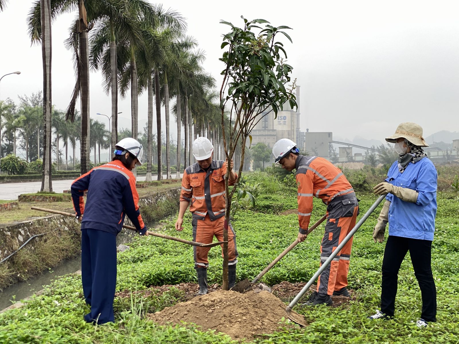 PHONG TRÀO ''TẾT TRỒNG CÂY'' XUÂN BÍNH NGỌ 2026 TẠI XI MĂNG THĂNG LONG